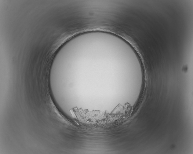 X0000115600577200912221148