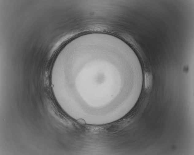 X0000115600579200912221148