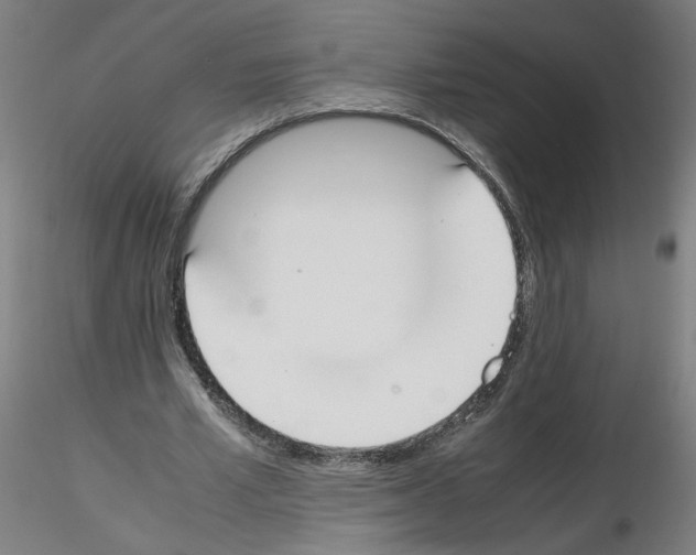 X0000115600581200912221148