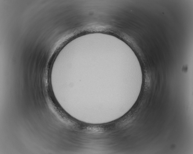 X0000115600582200912221148