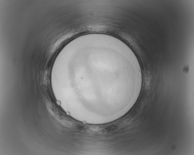 X0000115600583200912221148