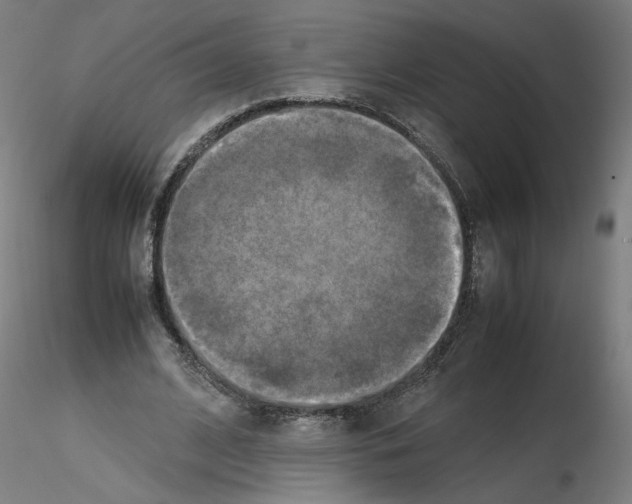 X0000115600584200912221148