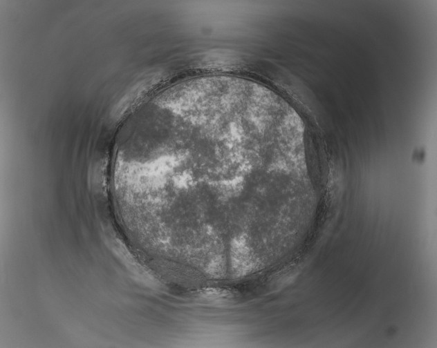 X0000115600585200912221148