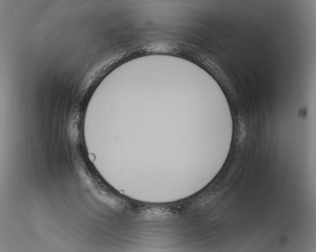 X0000115600586200912221148