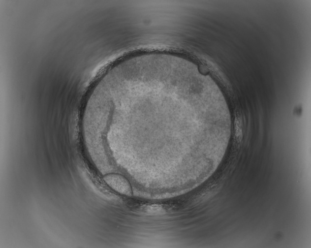 X0000115600588200912221148