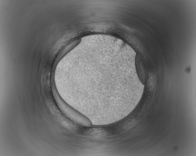 X0000115600589200912221148