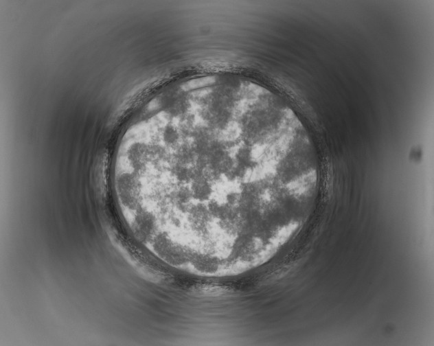 X0000115600590200912221148