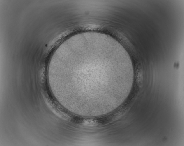 X0000115600591200912221148