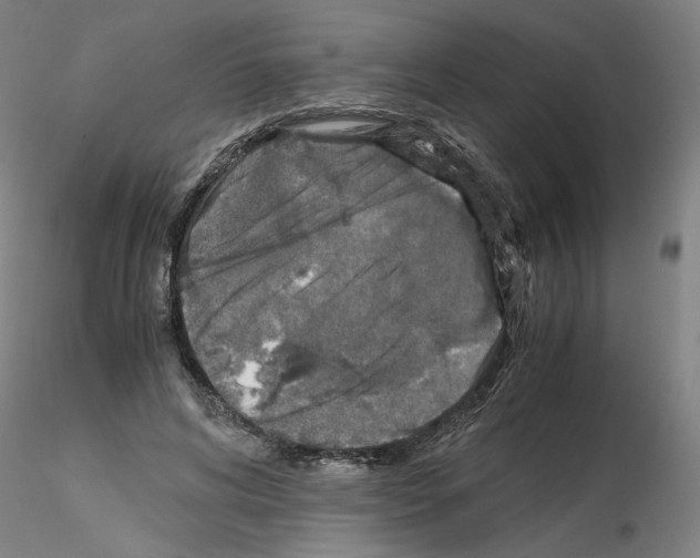 X0000115600592200912221148