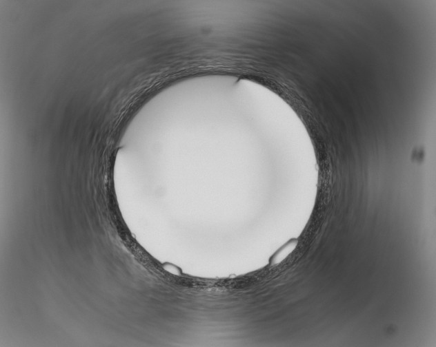 X0000115600593200912221148