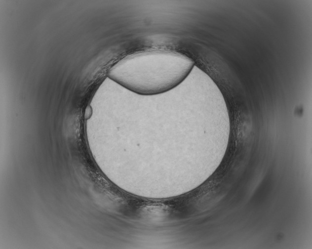 X0000115600595200912221148