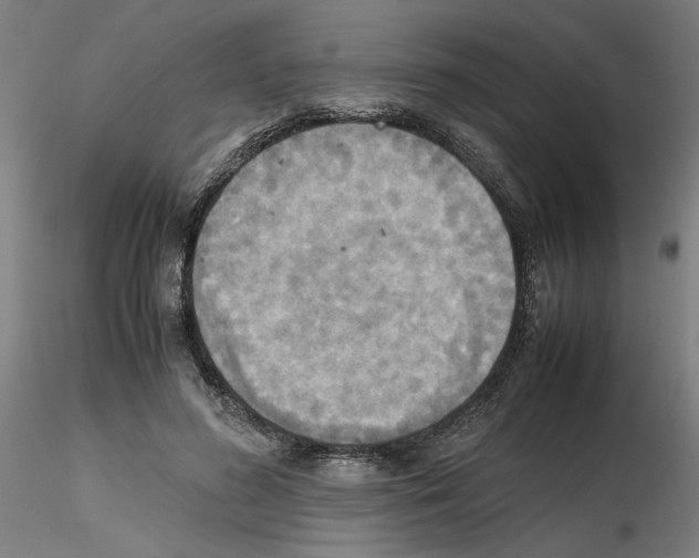 X0000115600596200912221148