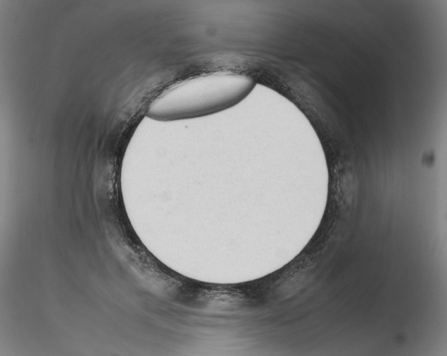 X0000115600597200912221148