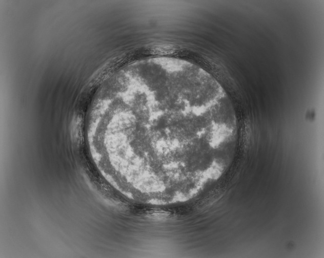 X0000115600598200912221148