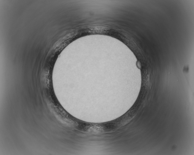 X0000115600599200912221148