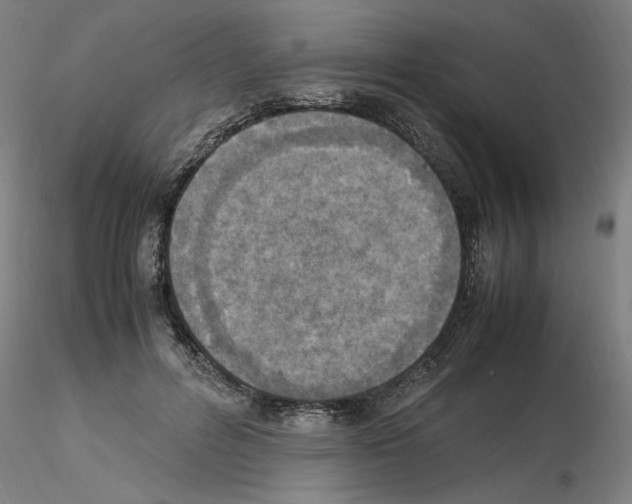 X0000115600600200912221148