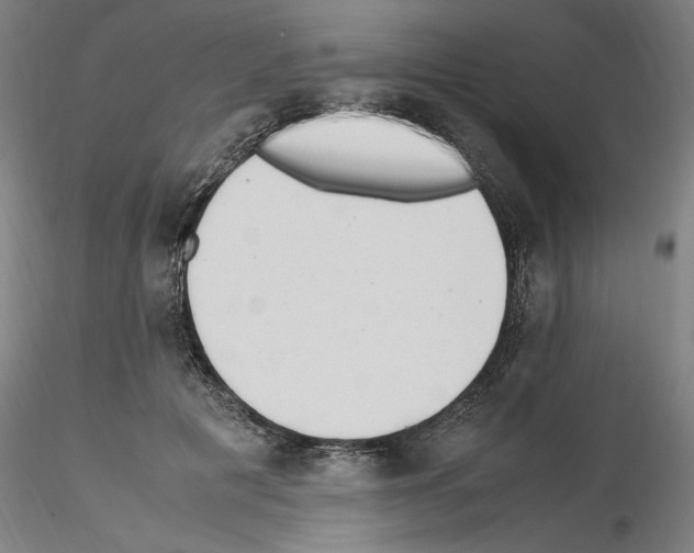 X0000115600601200912221148