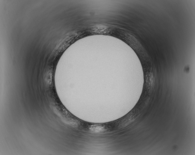 X0000115600602200912221148