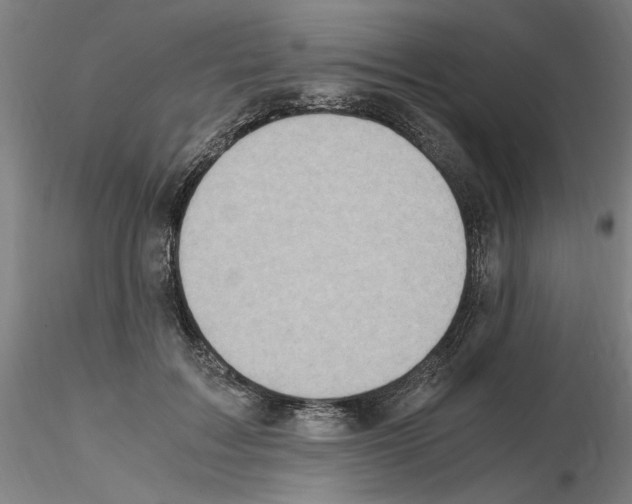 X0000115600603200912221148