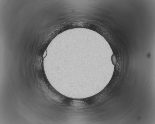 X0000115600605200912221148