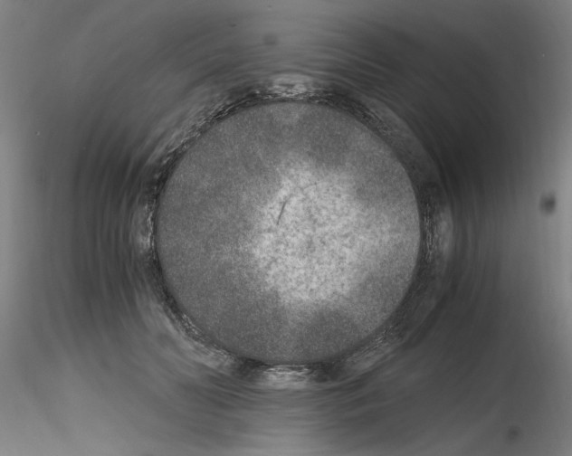 X0000115600606200912221148