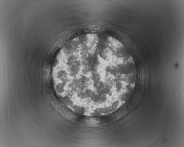 X0000115600610200912221147