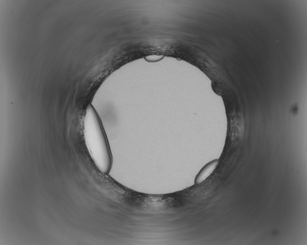 X0000115600613200912221147