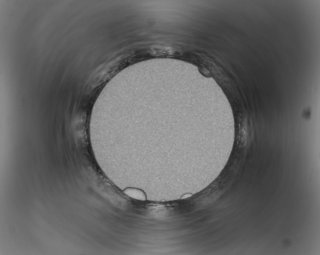 X0000115600616200912221147