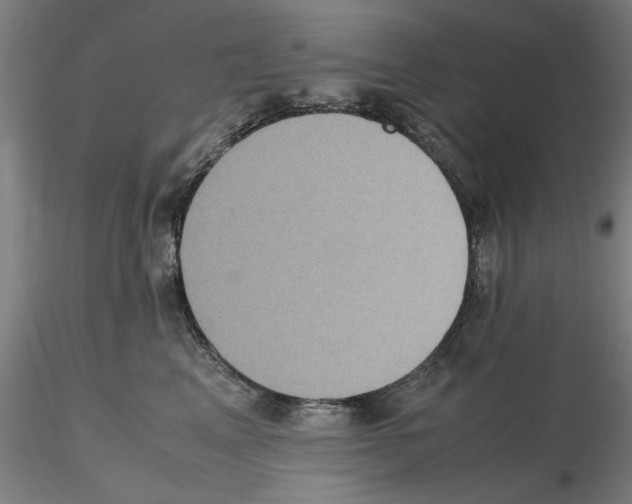 X0000115600617200912221147