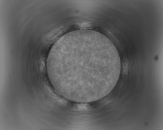 X0000115600618200912221147