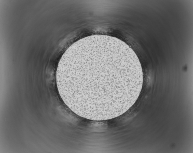 X0000115600619200912221147