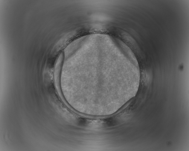 X0000115600621200912221147