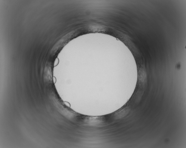 X0000115600622200912221147