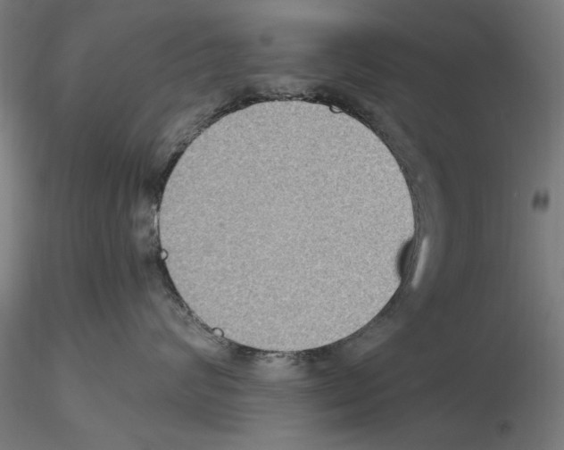 X0000115600624200912221147