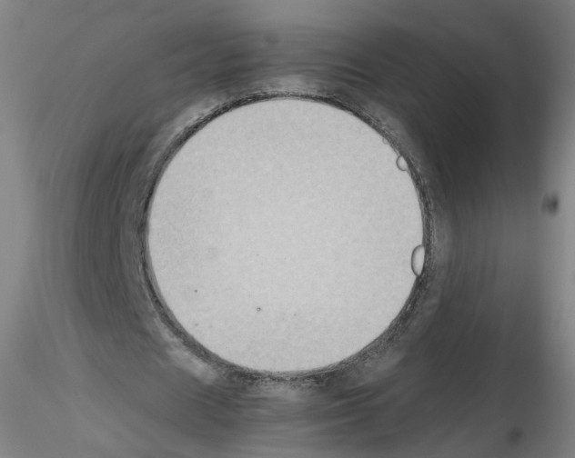 X0000115600625200912221147