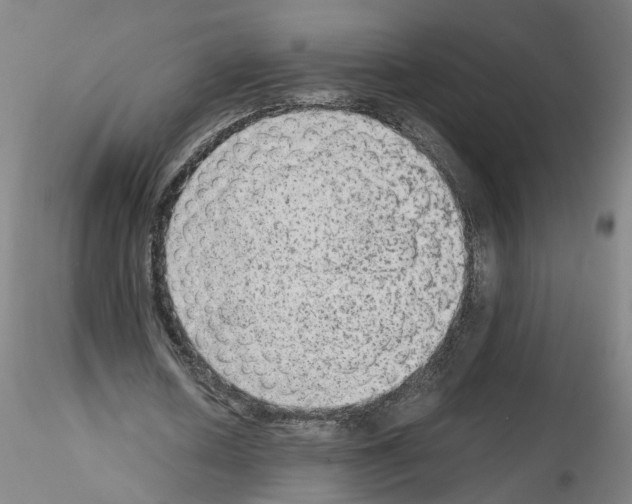 X0000115600626200912221147