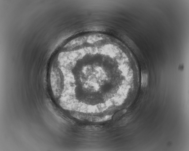 X0000115600627200912221147