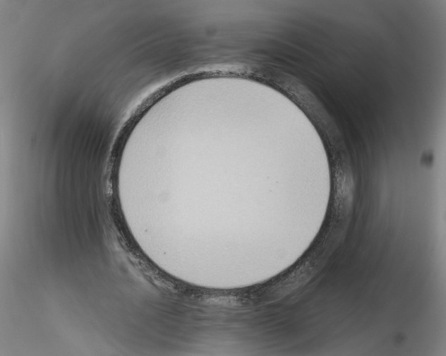 X0000115600628200912221147