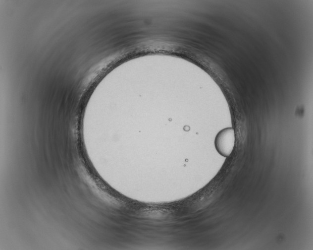 X0000115600629200912221147