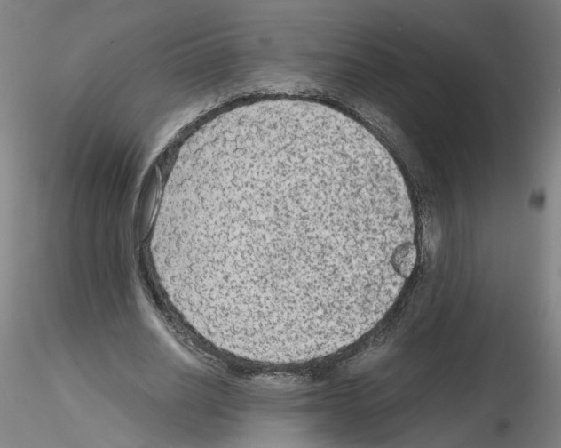 X0000115600630200912221147