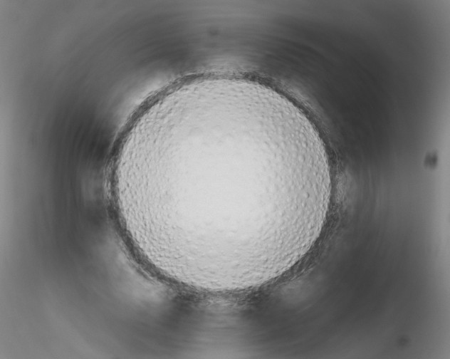 X0000115600632200912221147