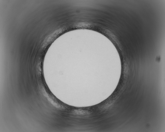 X0000115600633200912221147