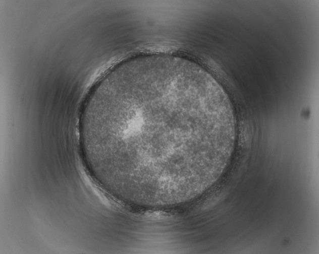 X0000115600634200912221147