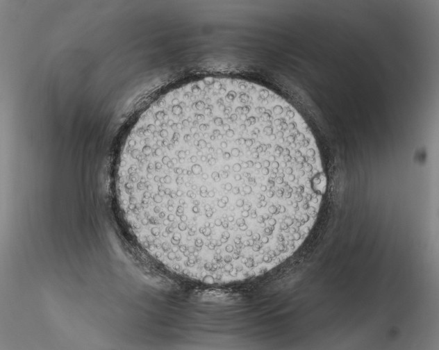 X0000115600635200912221147