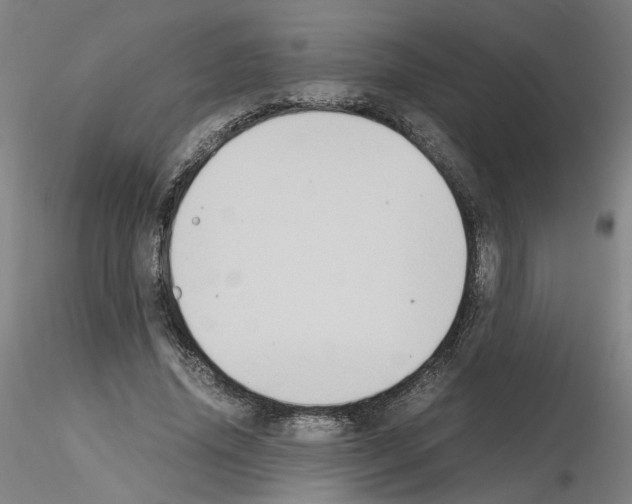 X0000115600636200912221147