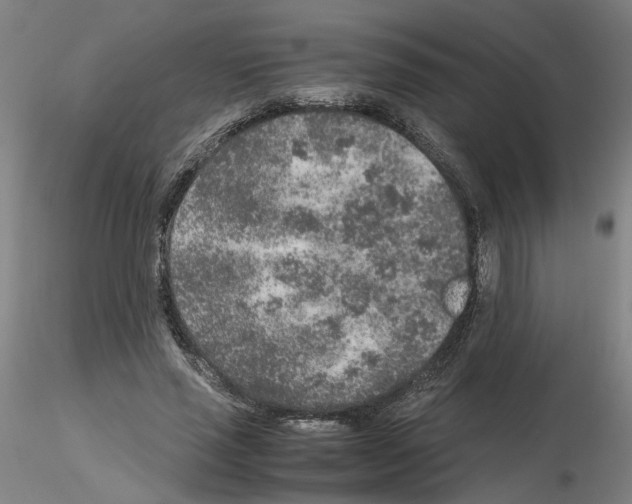 X0000115600637200912221147