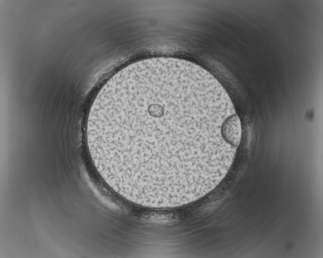 X0000115600638200912221147