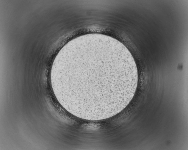 X0000115600639200912221147