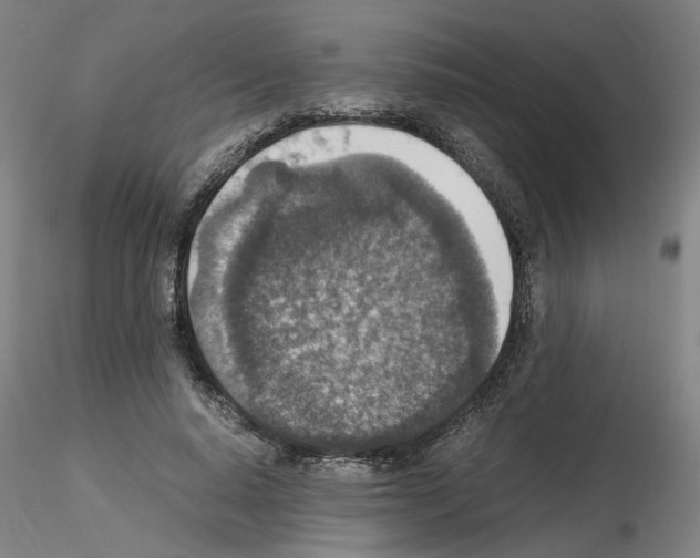 X0000115600640200912221147