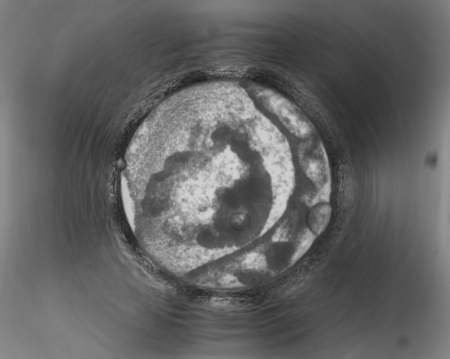 X0000115600641200912221147